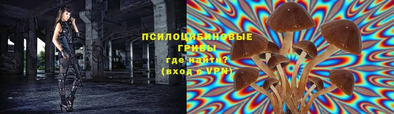 Галлюциногенные грибы мухоморы  Лянтор 